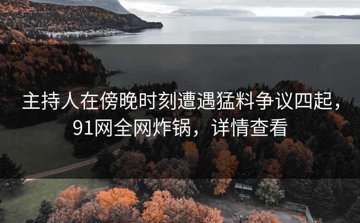 主持人在傍晚时刻遭遇猛料争议四起，91网全网炸锅，详情查看