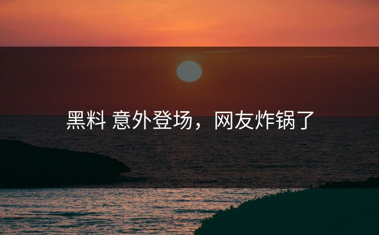 黑料 意外登场，网友炸锅了