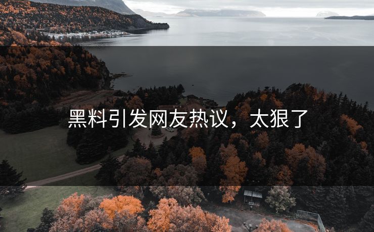 黑料引发网友热议，太狠了