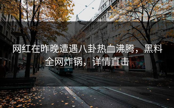 网红在昨晚遭遇八卦热血沸腾，黑料全网炸锅，详情直击