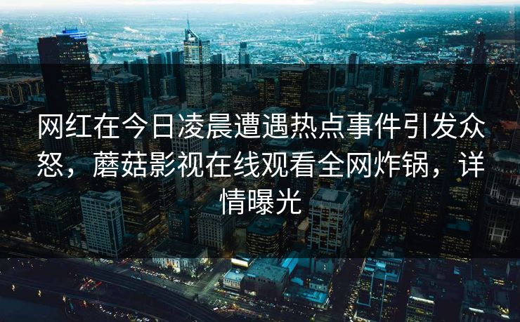 网红在今日凌晨遭遇热点事件引发众怒，蘑菇影视在线观看全网炸锅，详情曝光