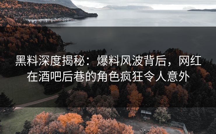 黑料深度揭秘：爆料风波背后，网红在酒吧后巷的角色疯狂令人意外