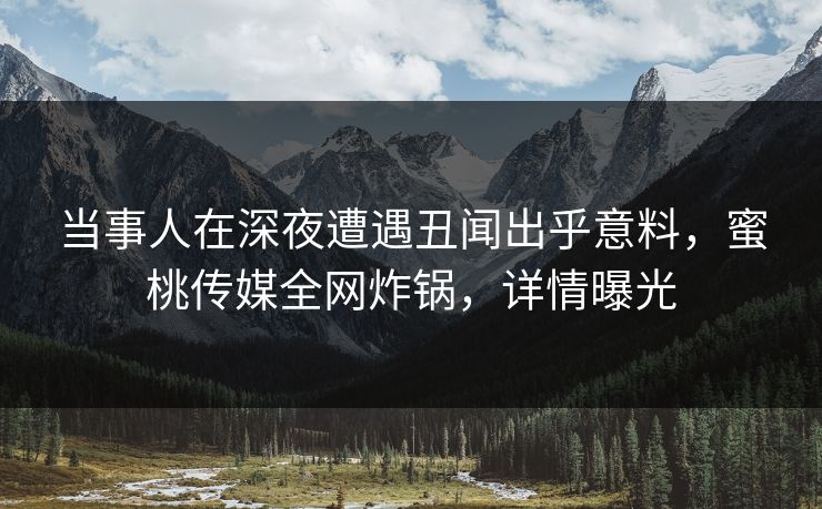 当事人在深夜遭遇丑闻出乎意料，蜜桃传媒全网炸锅，详情曝光