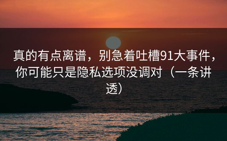 真的有点离谱，别急着吐槽91大事件，你可能只是隐私选项没调对（一条讲透）